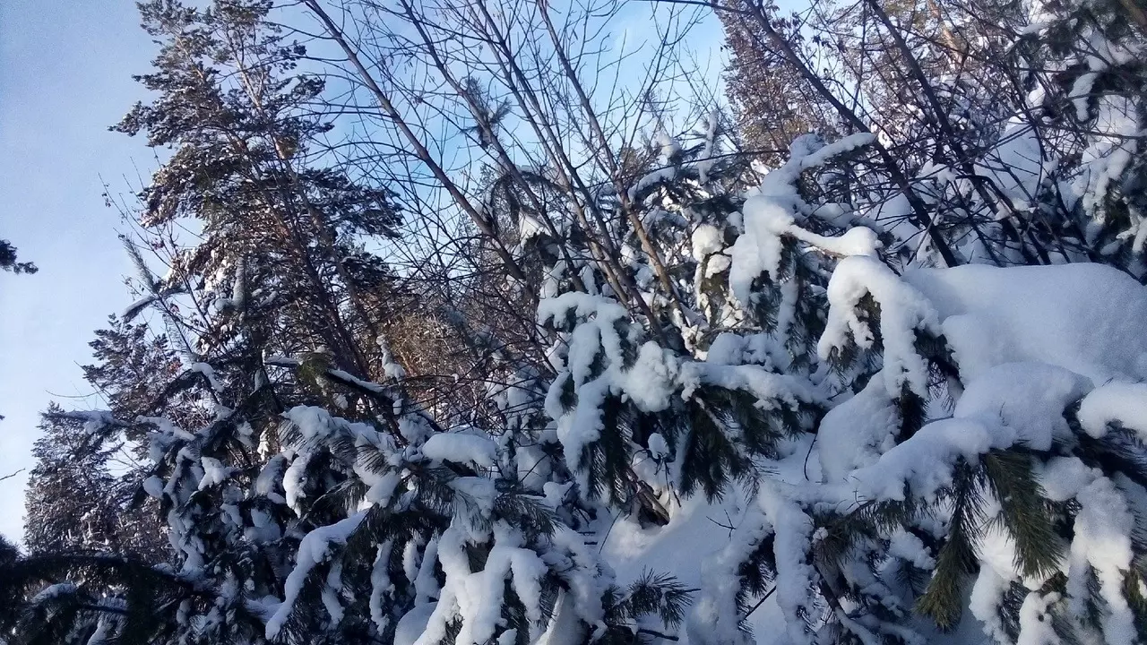 Этой зимой россияне смогут насладиться отдыхом с 30 декабря по 8 января.