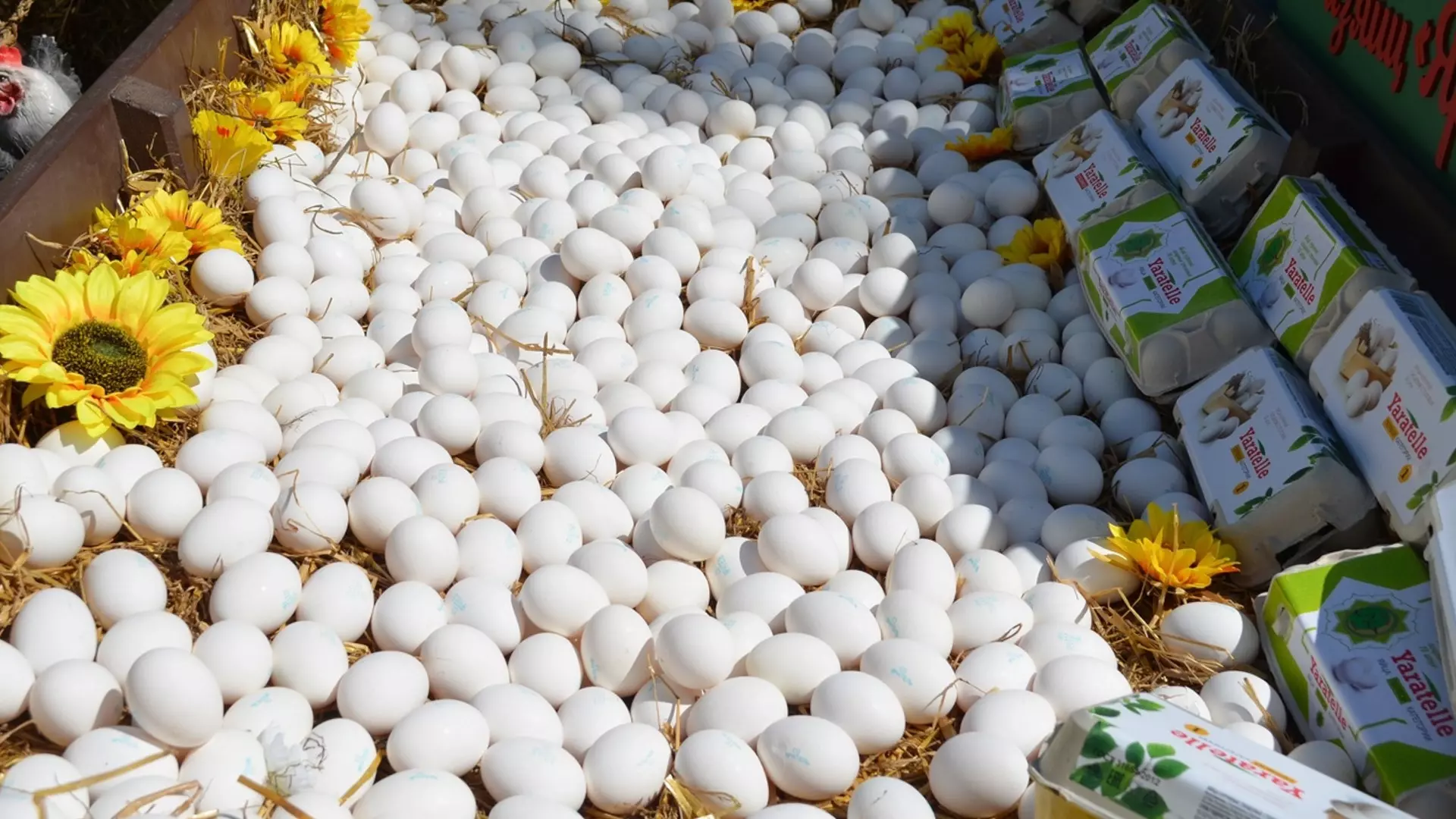 В Госдуме объяснили рост цен на яйца тем, что россияне стали больше есть