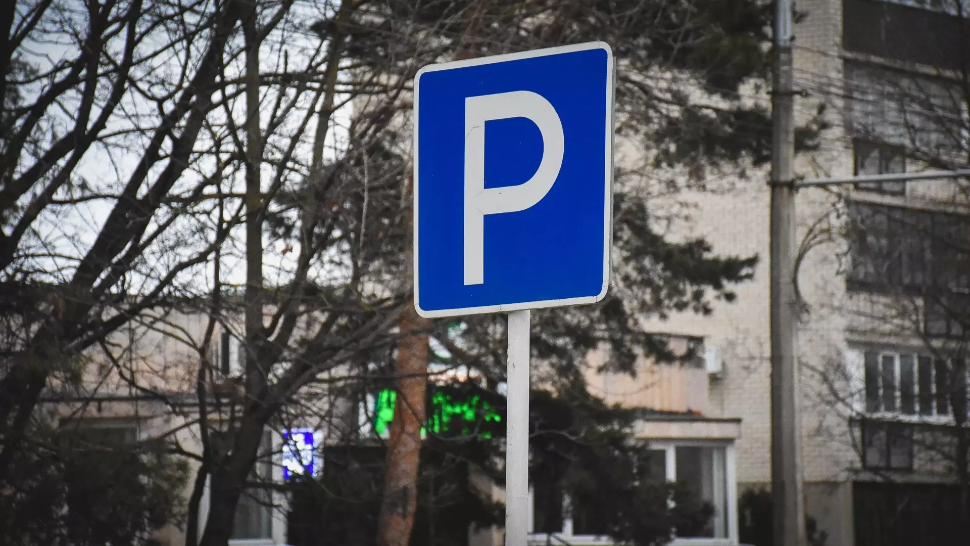 Платные парковки появятся после решения проблем с общественным транспортом