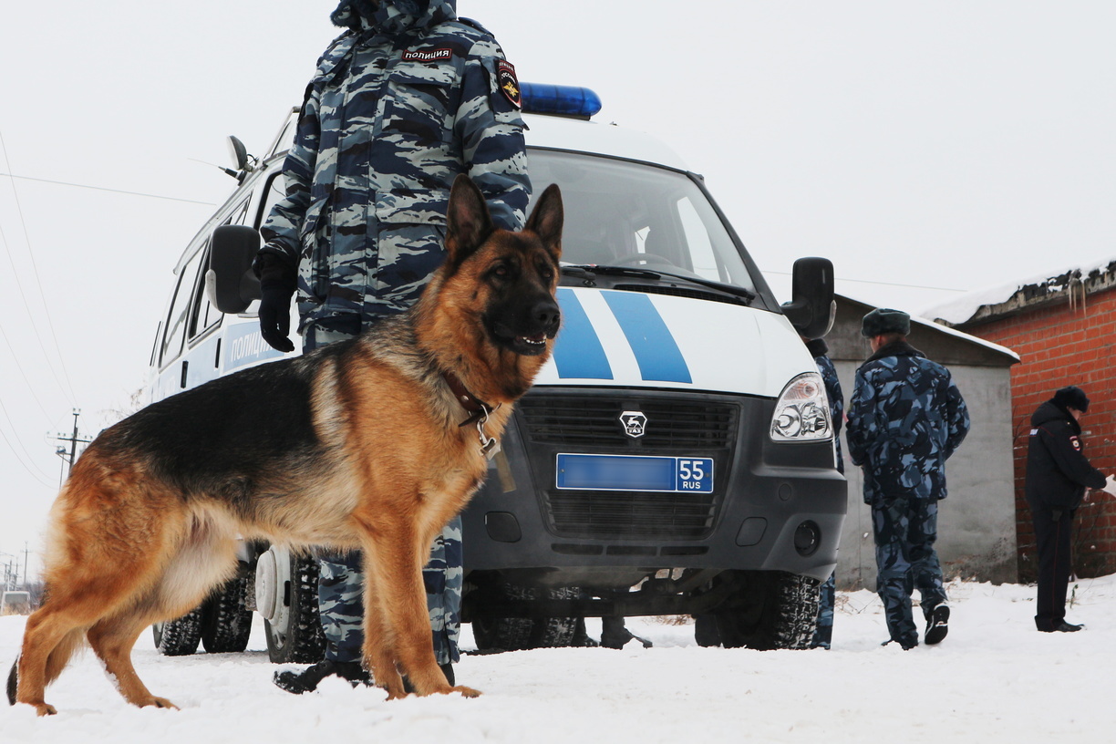 Полицейская собака в Новотроицке помогла найти опасного преступника
