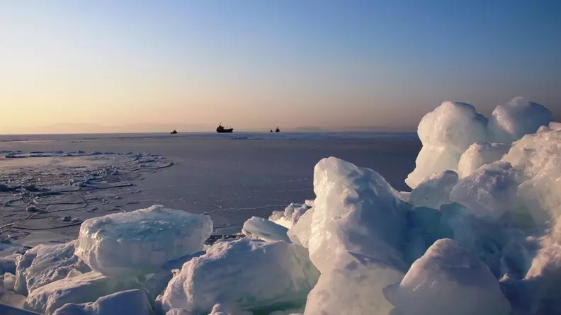 Ледники Арктики и Сибири опасны затаившимися зомби-вирусами