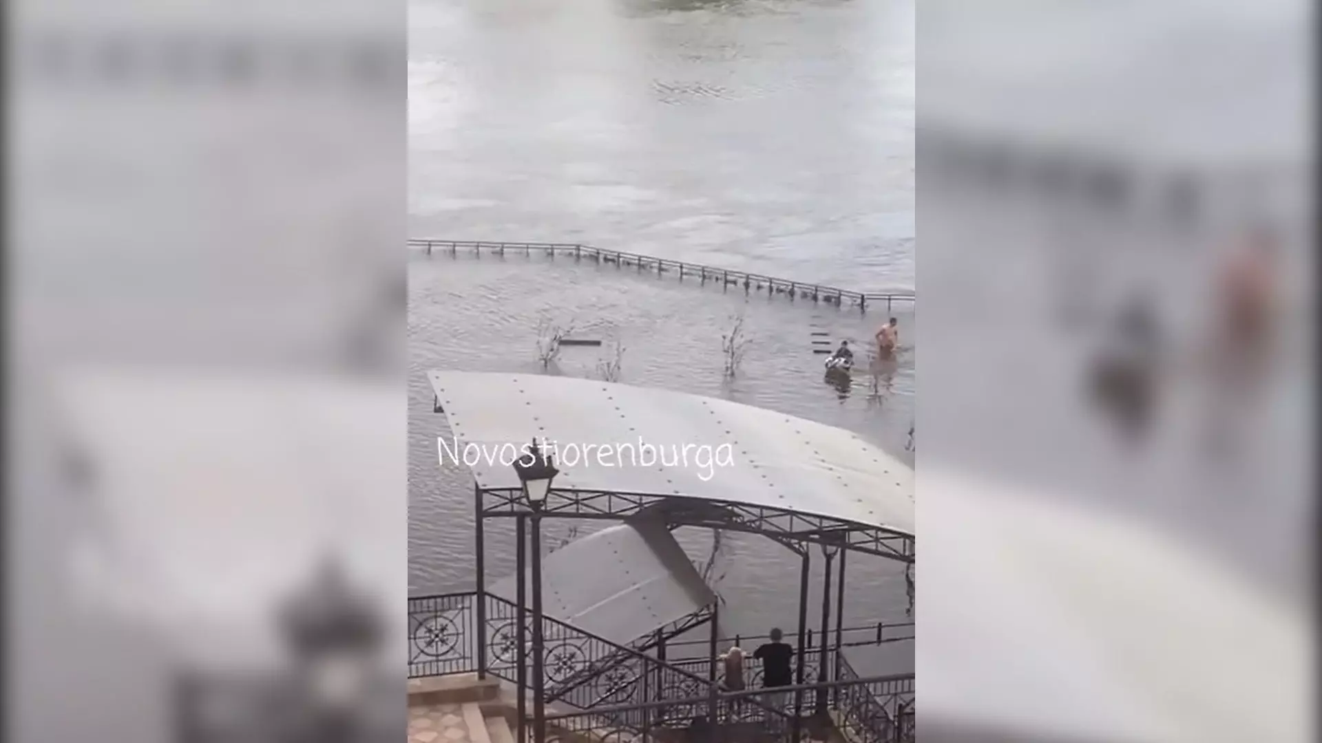 Жители Оренбурга бросились в реку за собакой