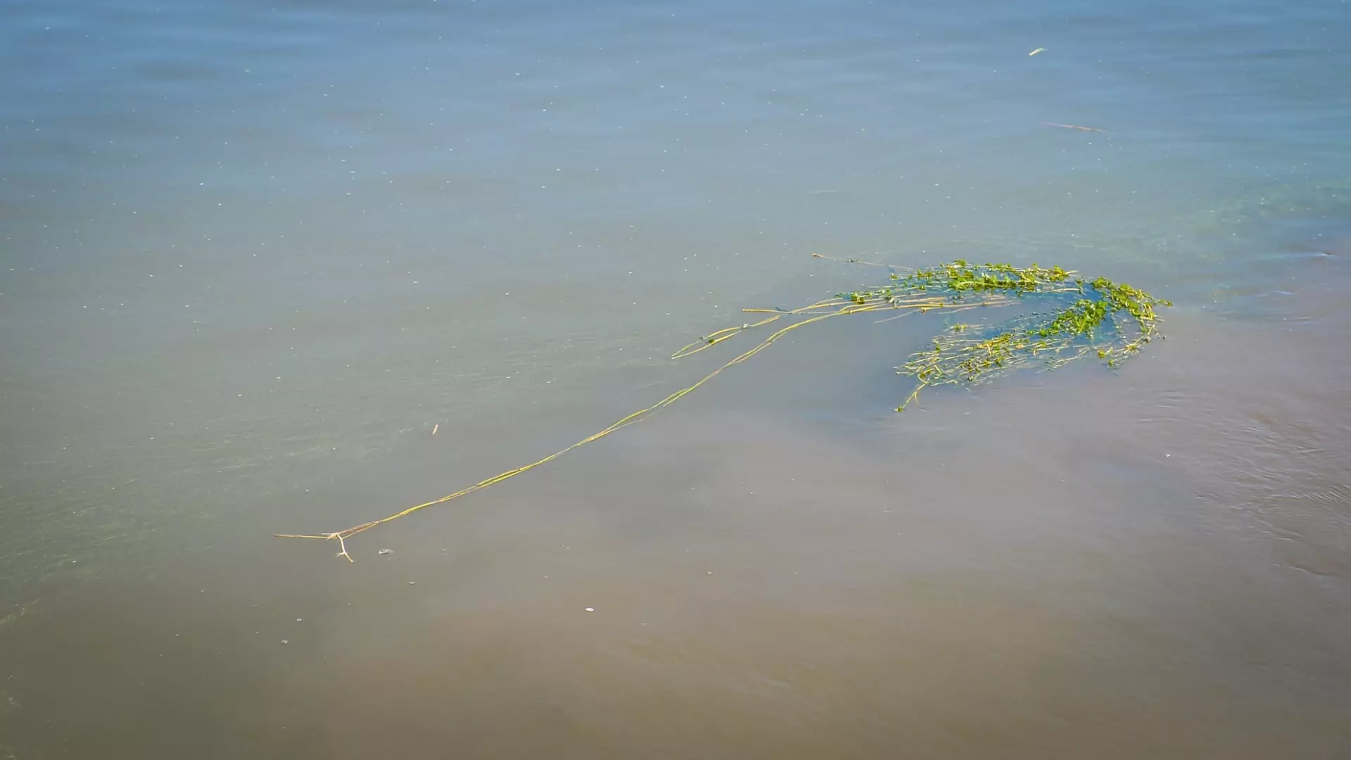В реках Оренбуржья продолжает расти уровень воды