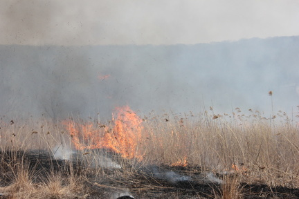 В Ясненском городском округе огонь с сухой травы чуть не перекинулся на жилые дома
