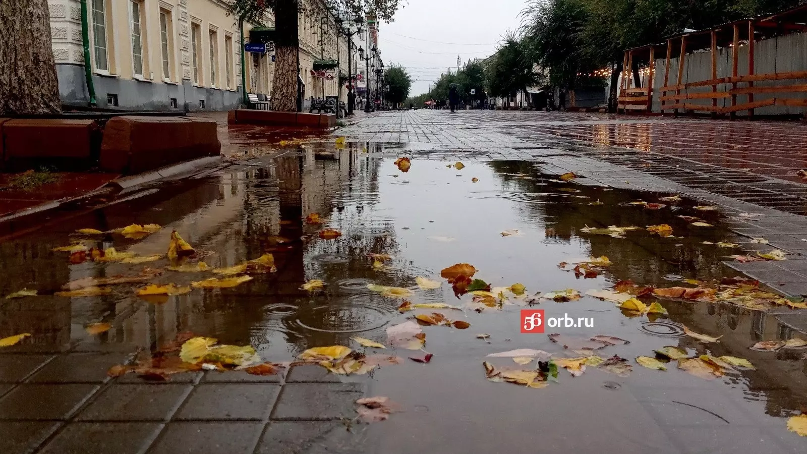 Улица Советская после дождя
