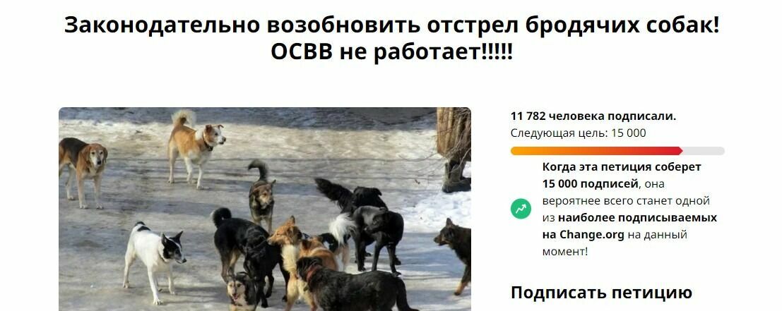 Люди активно голосуют за отстрел бездомных собак.