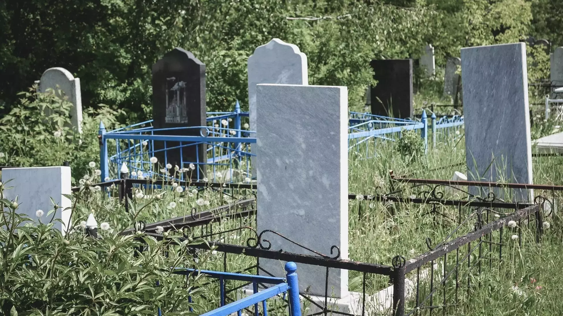 Кладбище планируют построить в Южном районе Оренбурга