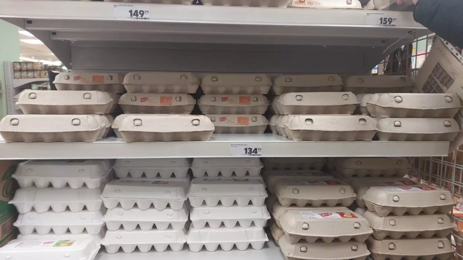 Цены на яйца, 13 декабря
