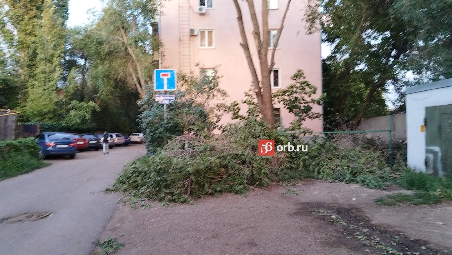 Опиленное дерево на ул. Пролетарской, 216А
