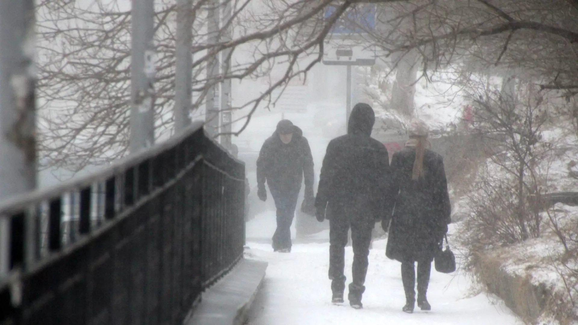 6 февраля в Оренбургской области будет снег, метель и сильный ветер