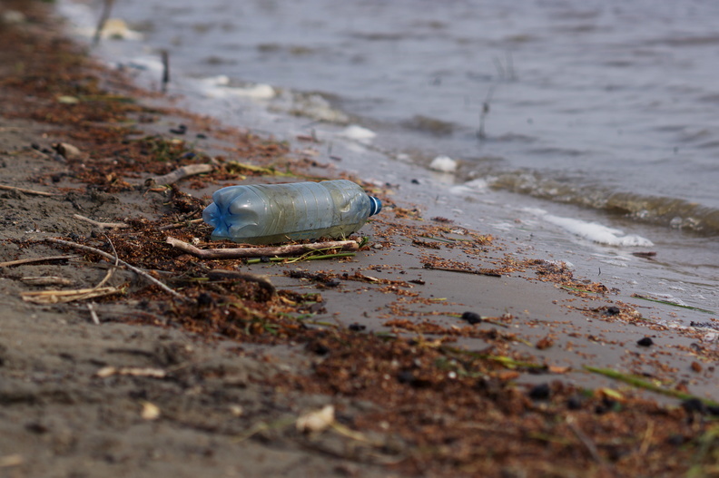 Берег озера Банное в Оренбурге очистят от мусора