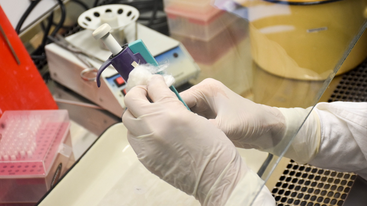 Федеральная лаборатория подтвердила в Оренбуржье 8 случаев заболевания коронавирусом