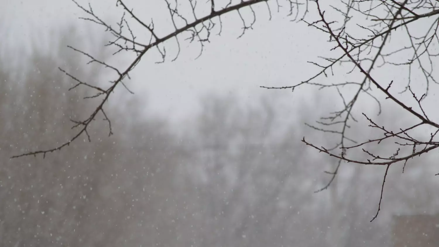 В Оренбуржье выпадет мокрый снег
