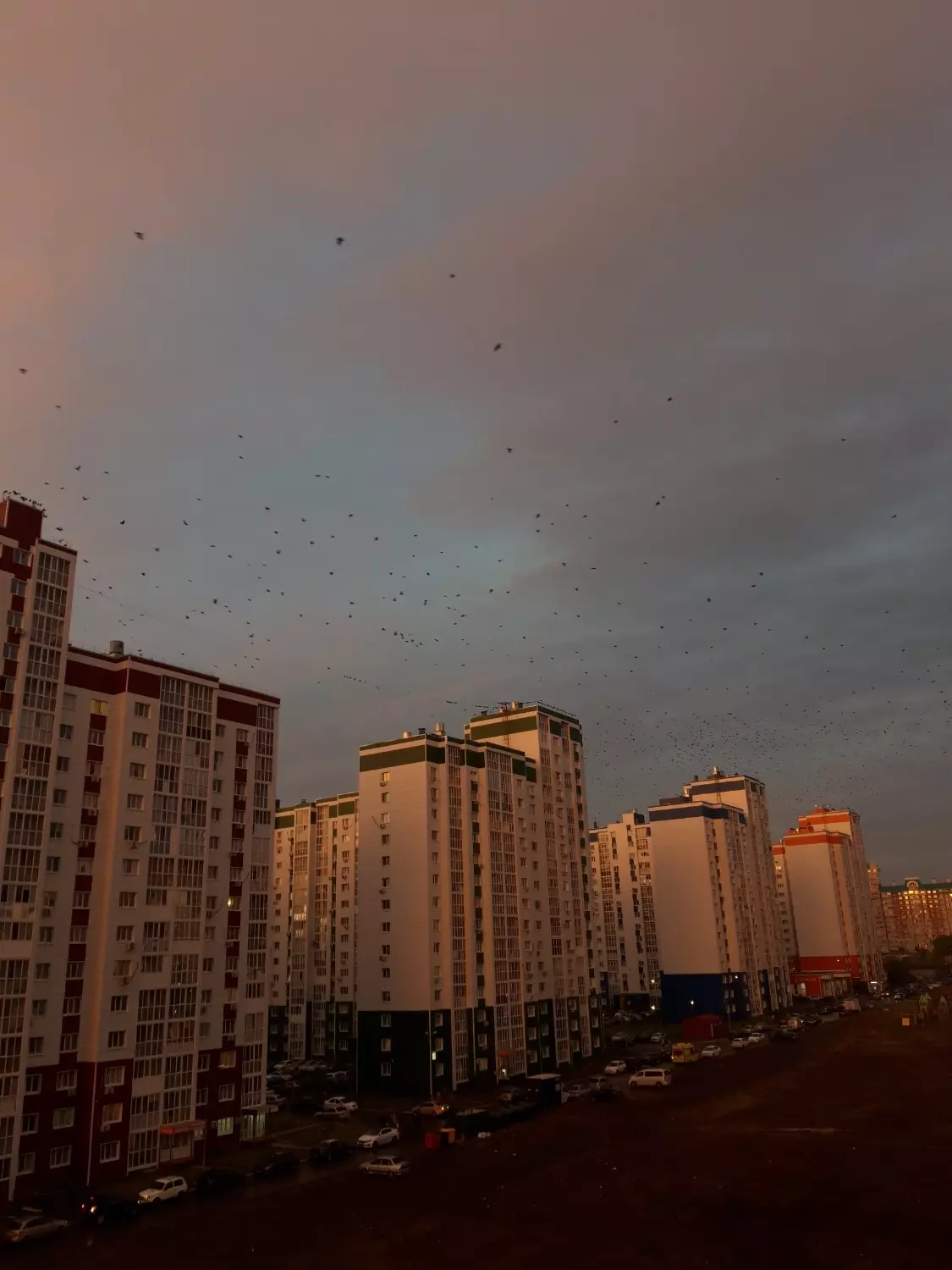 Оренбуржцам не стоит ждать появления новых массовых льготных программ ипотеки