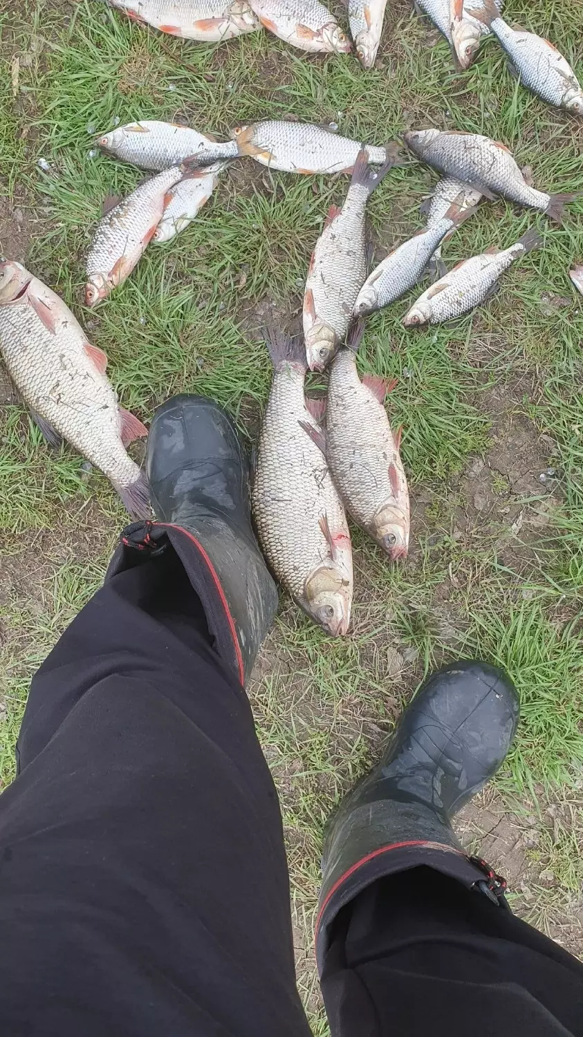 Увесистых рыбин ловят оренбуржцы