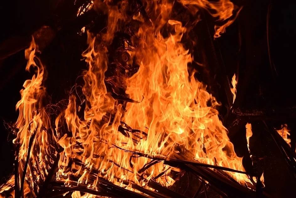 С начала года в Оренбуржье зарегистрировали 19 лесных пожаров