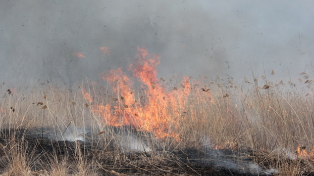 В Оренбуржье резко возросла вероятность возникновения пожаров