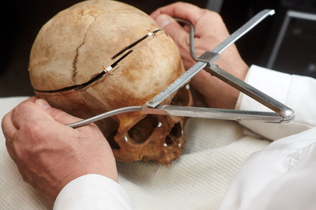 Житель Бугурусланского района откопал в огороде человеческий череп (18+)