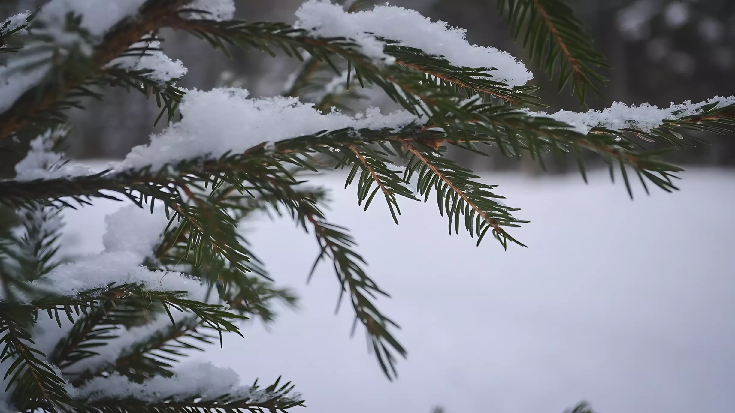 Снегопады пока не покидают Оренбургскую область