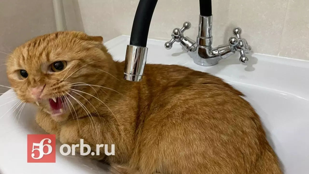 Оренбуржцам сообщили, почему не стоит сейчас пить воду из крана