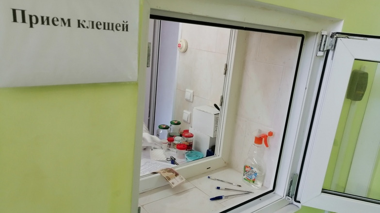 Проверить, был ли клещ энцефалитным, можно в лаборатории Роспотребнадзора в Оренбурге.