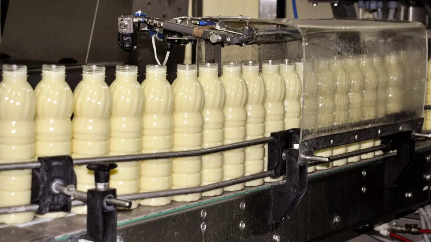 Первый завод по производству сгущенного молока открыли в Оренбурге 