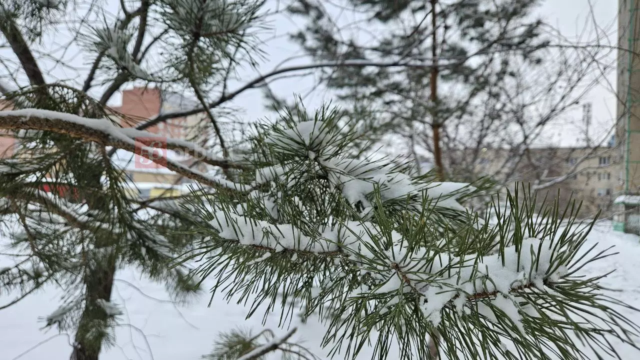 Оренбург засыпало снегом