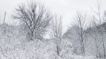 В ночь на 21 января в Оренбуржье ударит 26-градусный мороз