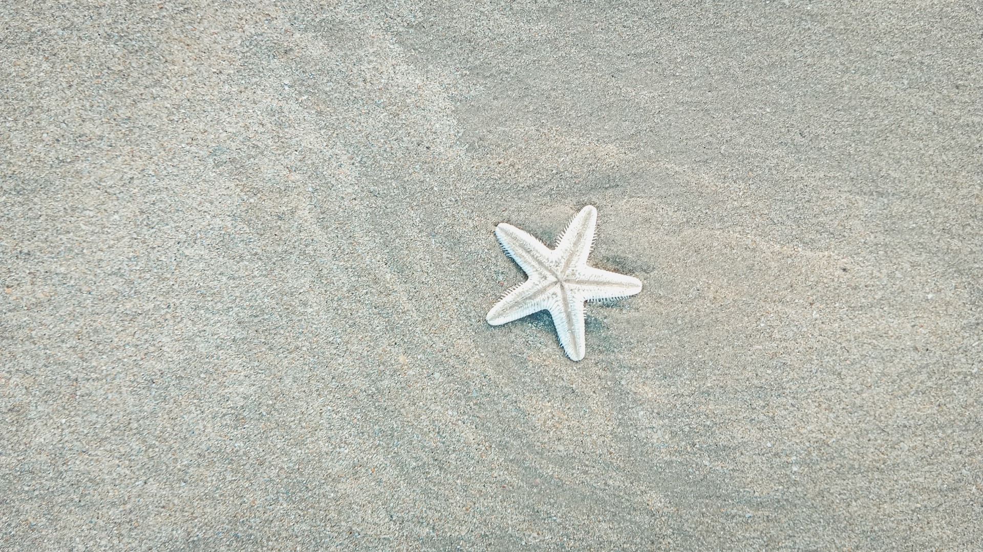 Мины были найдены на пляже курорта Шиле