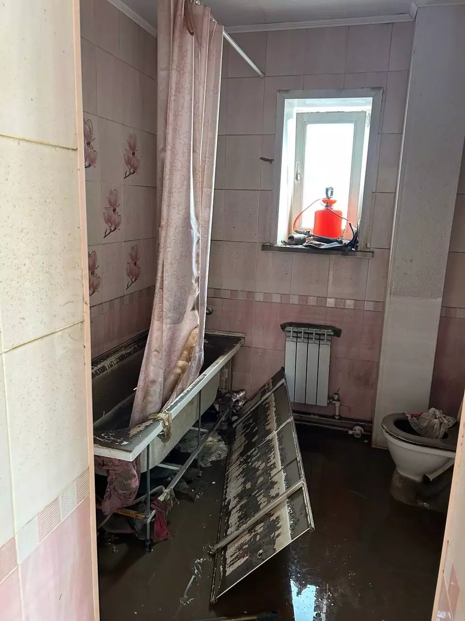 Оренбурженка показала мэру Сергею Салмину, как выглядит ее дом после наводнения