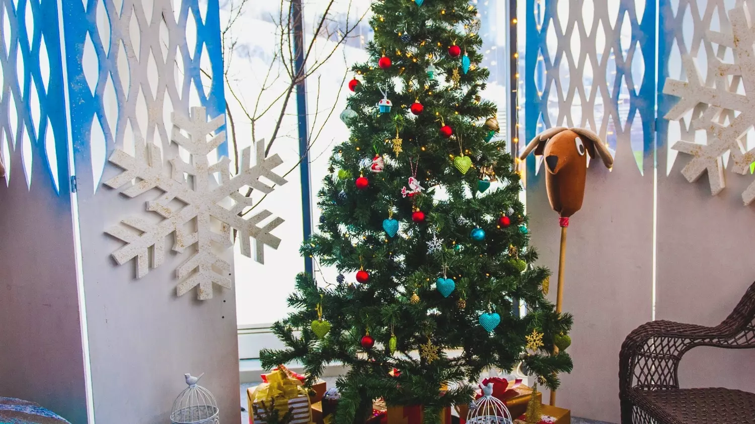 Сосна — самое распространенное новогоднее дерево в Оренбурге