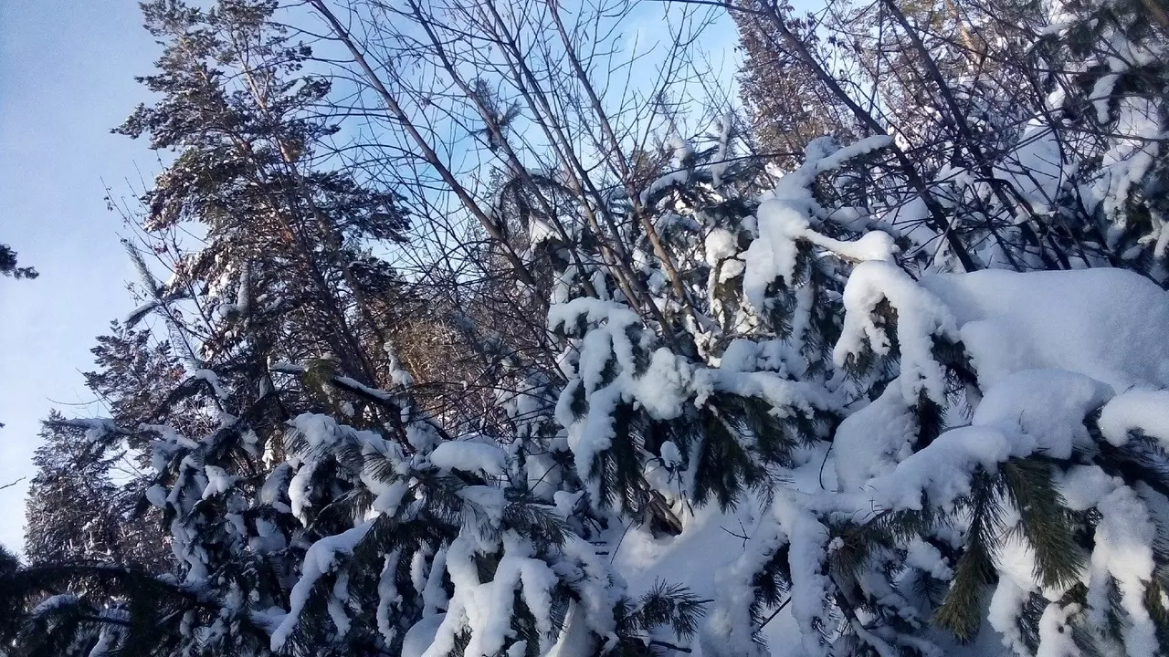 Синоптики российского Гидрометцентра опубликовали прогноз погоды на декабрь.