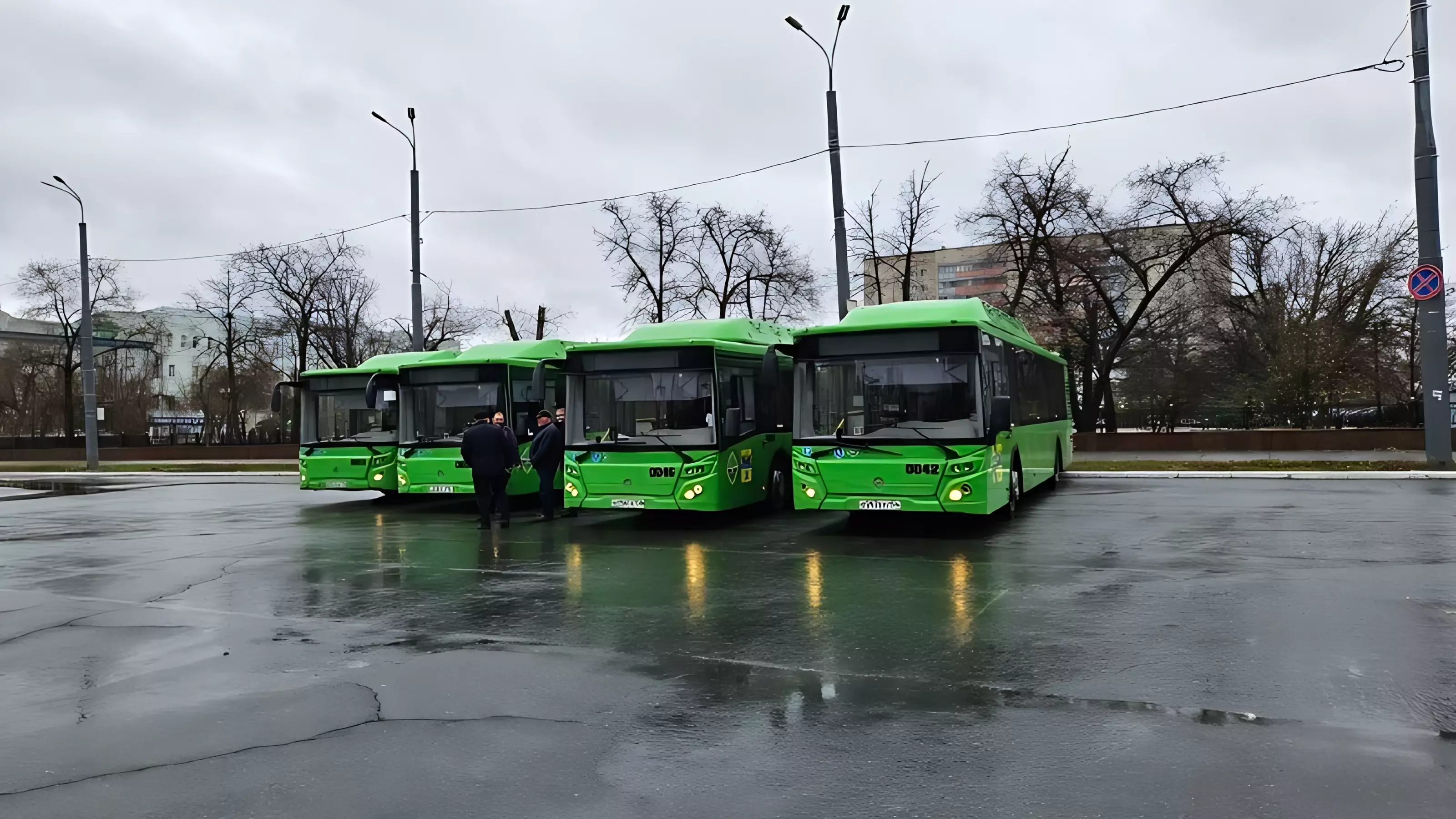 Новые автобусы
