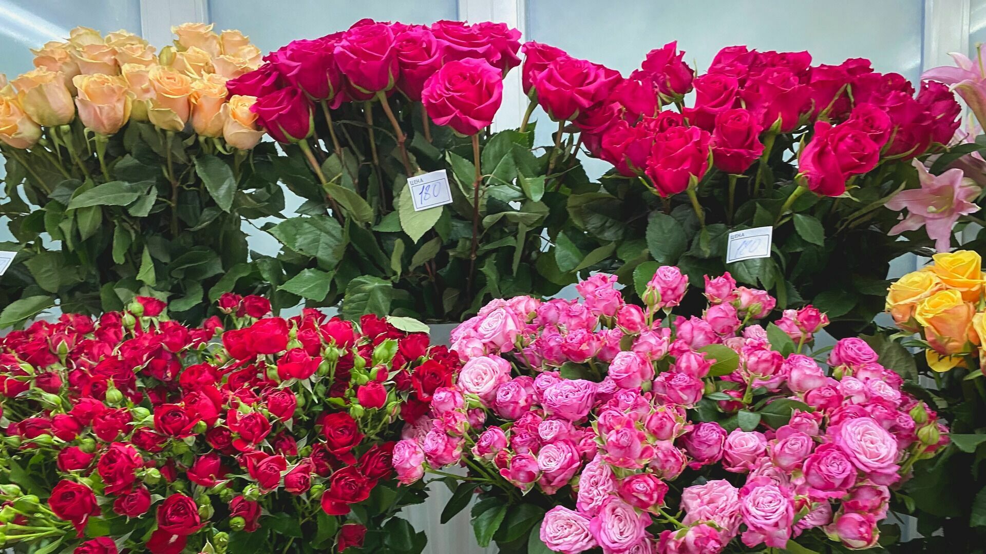 Какие цветы будут дарить оренбуржцы на 8 марта и сколько это будет стоить