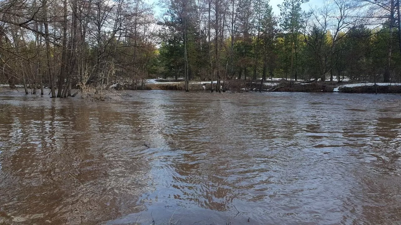 В Бузулукском районе выше критического уровня поднялась река Сакмара