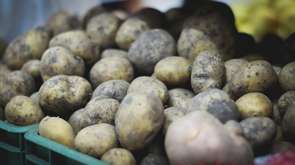 Оренбургский Россельхознадзор может ограничить ввоз картофеля из Казахстана