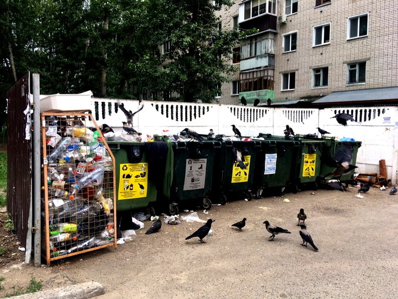 Более 600 мусорных площадок в Оренбурге признаны судом собственностью мэрии