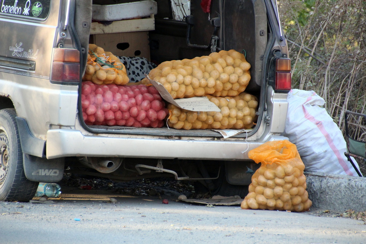 Жительница Гая получила острое отравление пестицидами при обработке картофеля