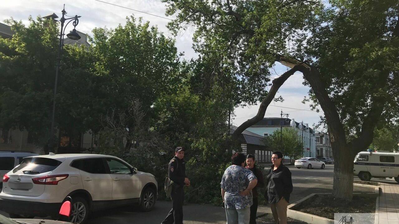 Упавшее дерево в Оренбурге
