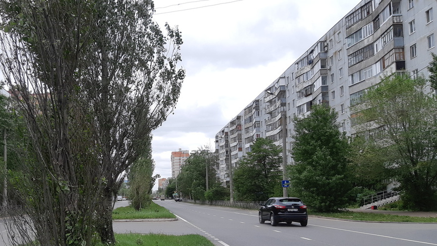 Оренбург потратит более 9 млн рублей на посадку трехметровых лип в городе