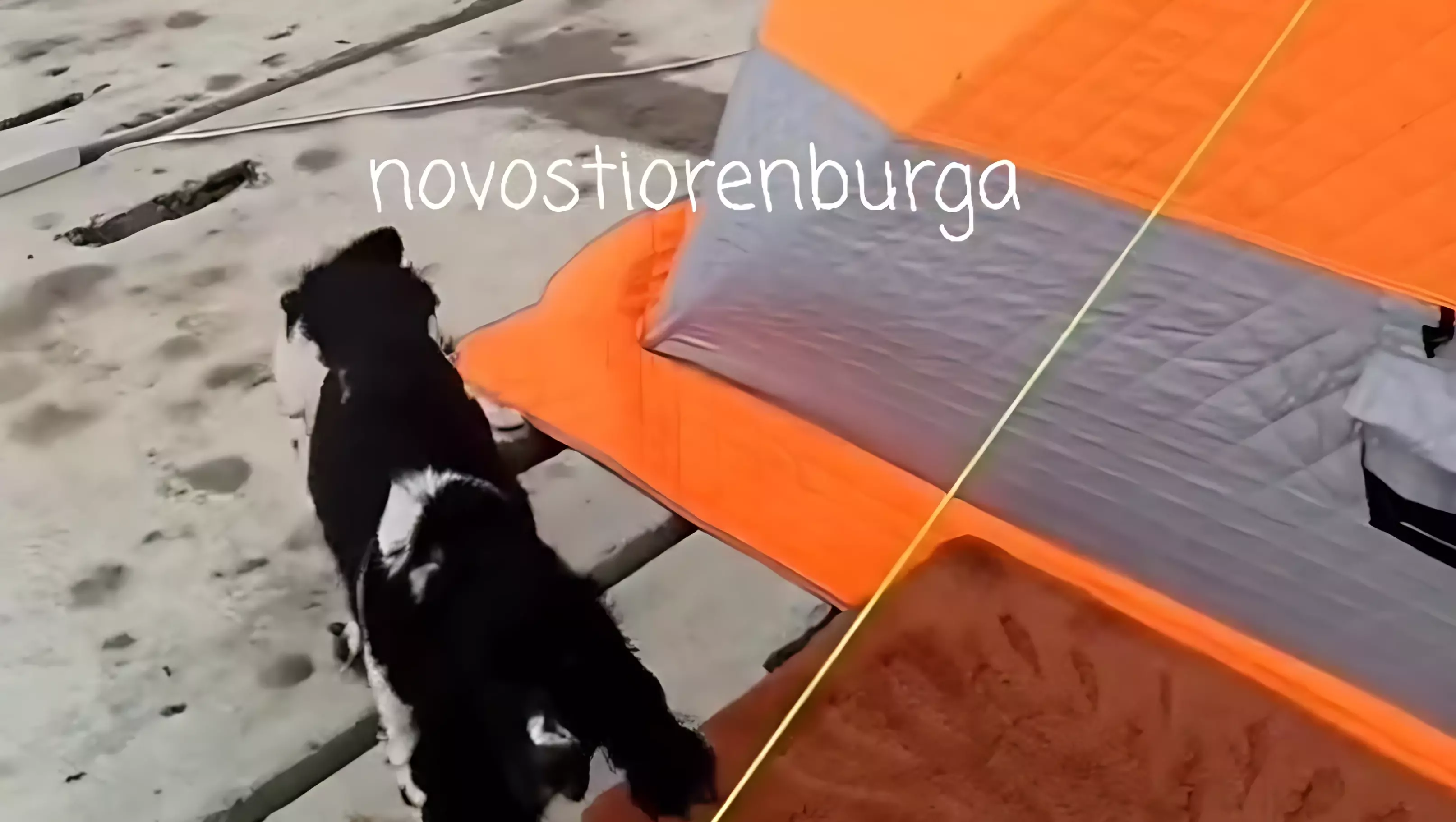 Оренбуржцы поставили на крыше дома палатку и пережидают наводнение.