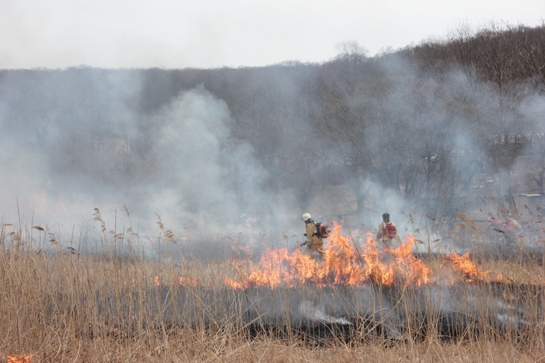 В Оренбургском районе 27 человек борются с природным пожаром