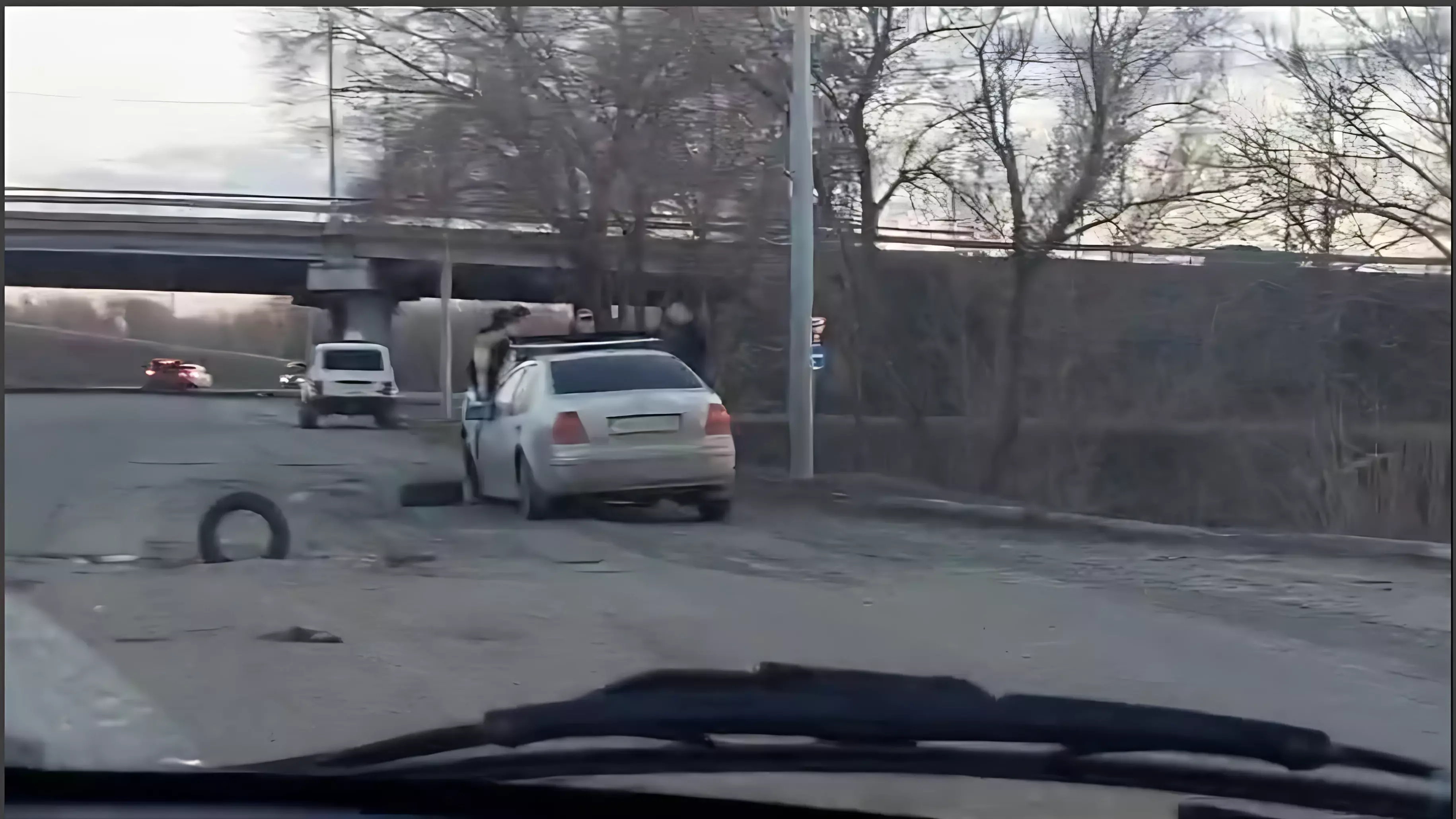 На выезде из поселка Кушкуль в Оренбурге водители рвут шины в ямах