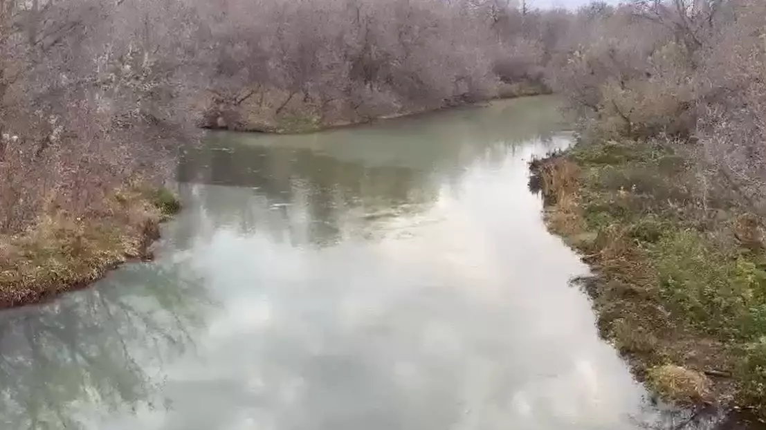 Вода в реке Кинель окрасилась в молочный цвет