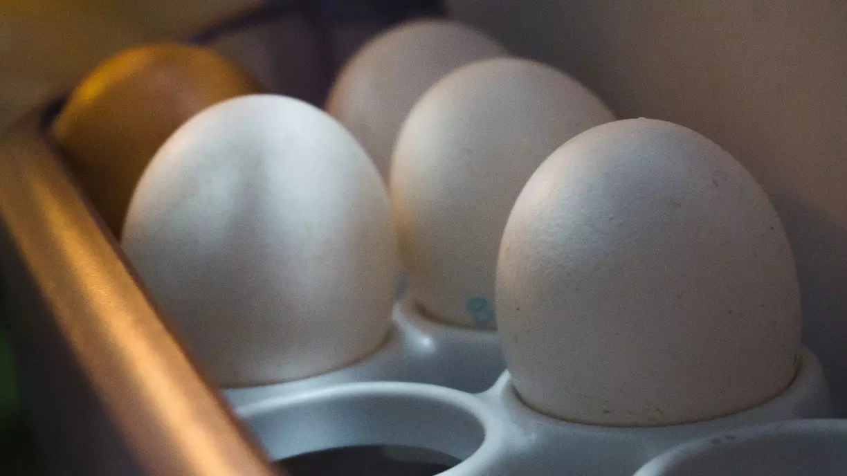 Будет проанализировано ценообразование на яйца