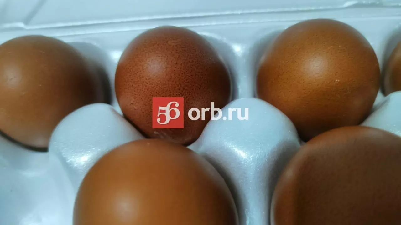 Производство яиц сократилось в регионе