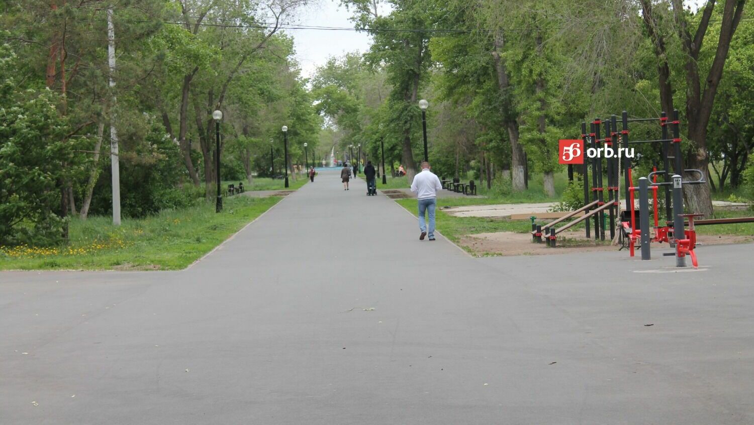 В парке Гуськова нет саженцев цветов