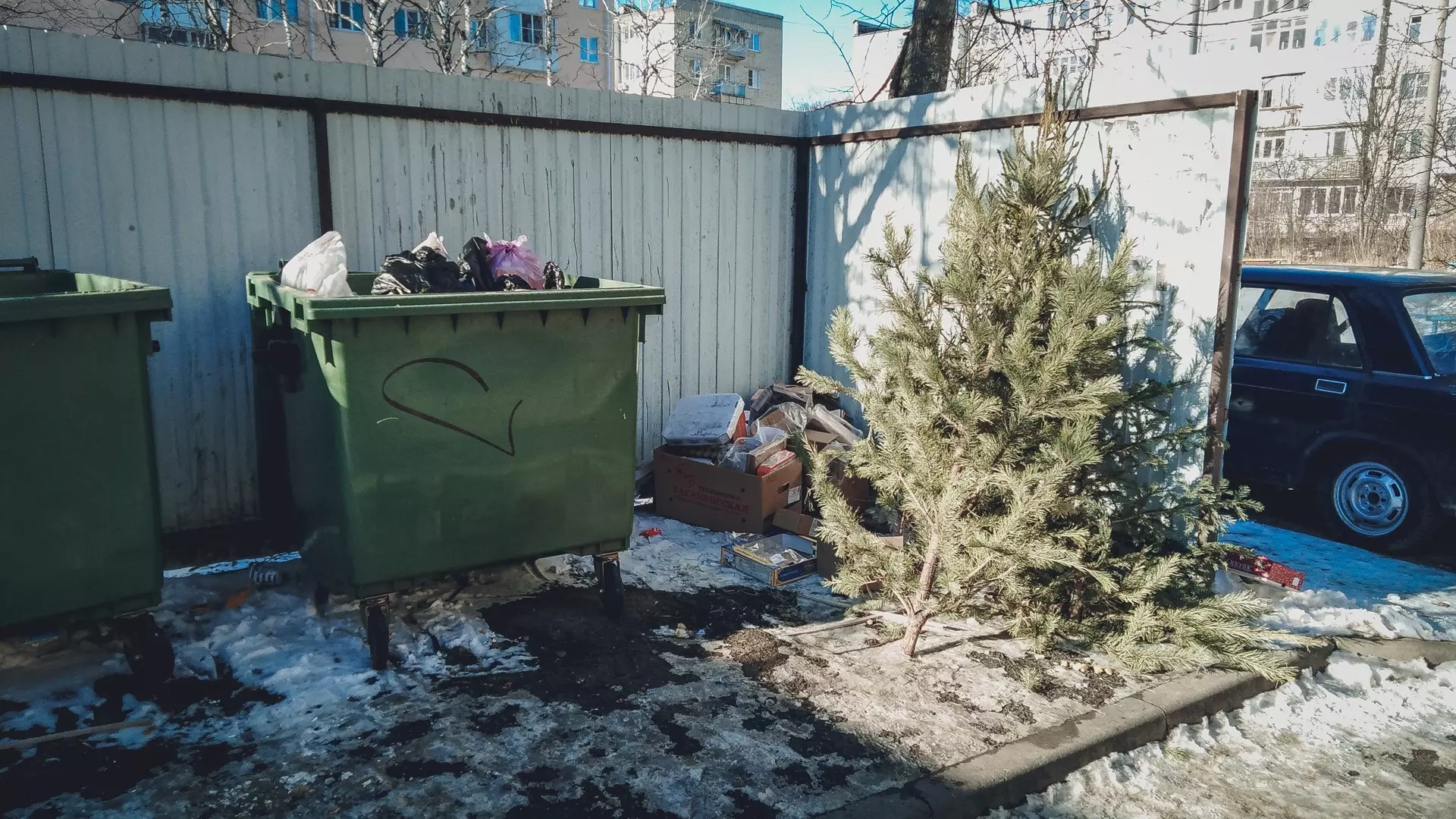 В Оренбургской области после Нового года снизят плату за вывоз мусора