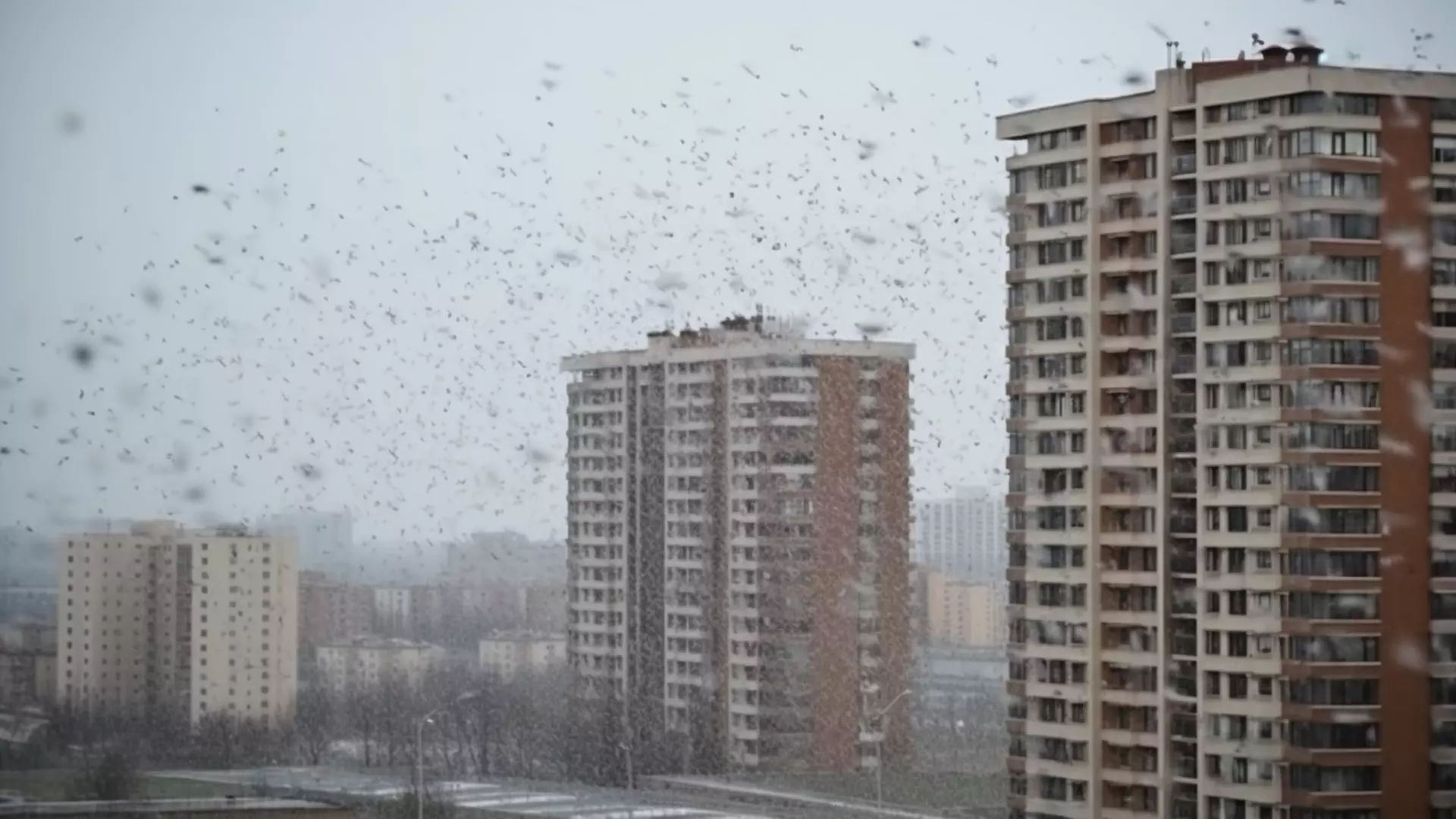 Оренбуржцы могут надеяться на снег