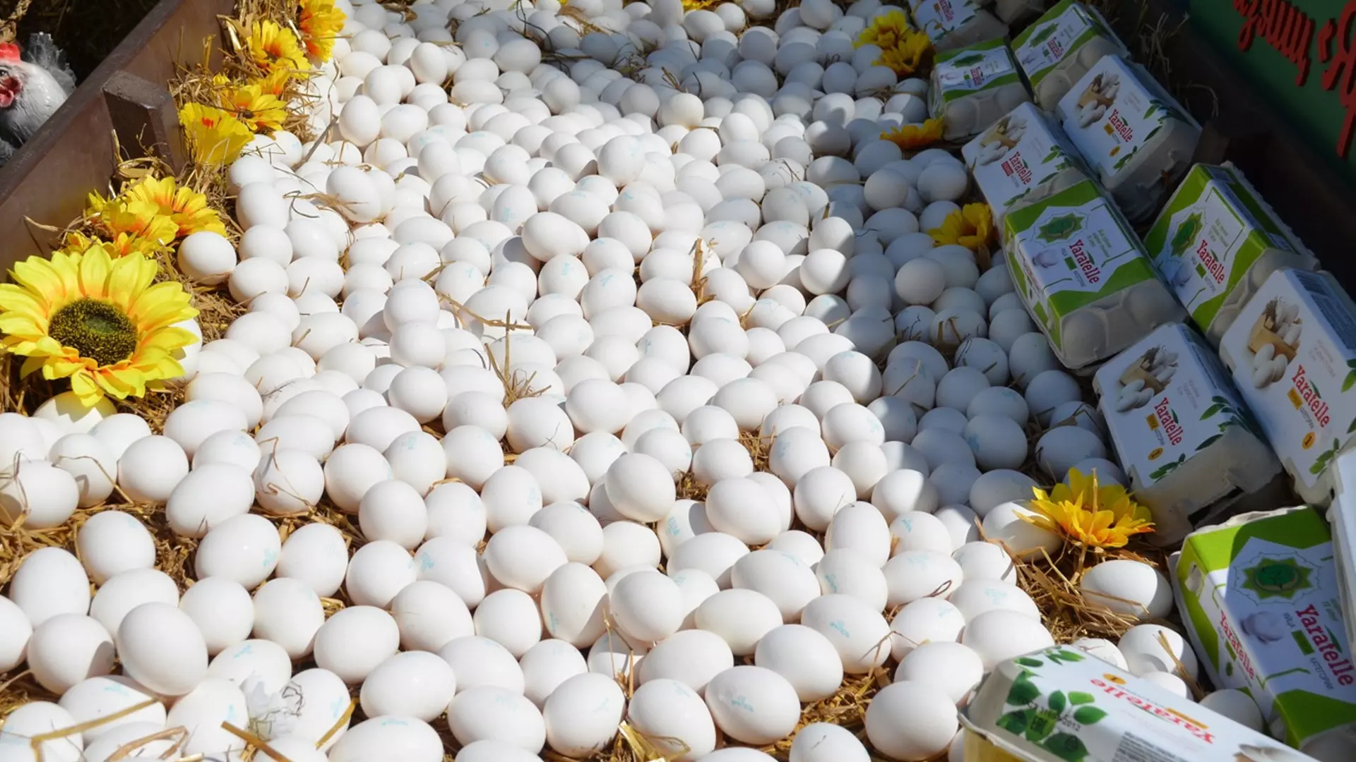 Покупать поштучно яйца оренбуржцы не намерены 